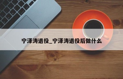 宁泽涛退役_宁泽涛退役后做什么