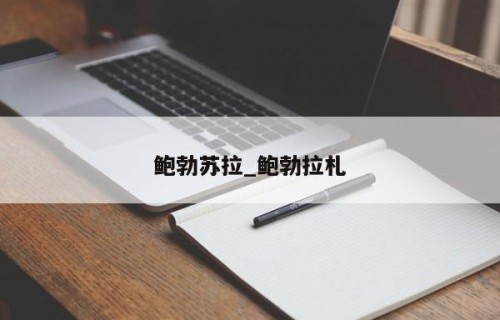 鲍勃苏拉_鲍勃拉札