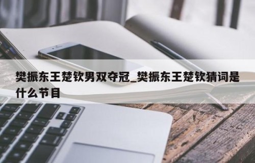 樊振东王楚钦男双夺冠_樊振东王楚钦猜词是什么节目