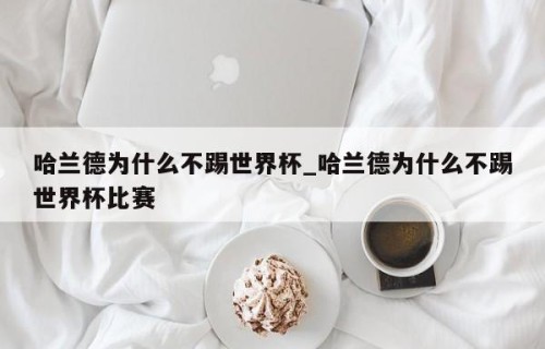 哈兰德为什么不踢世界杯_哈兰德为什么不踢世界杯比赛