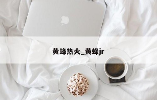 黄蜂热火_黄蜂jr