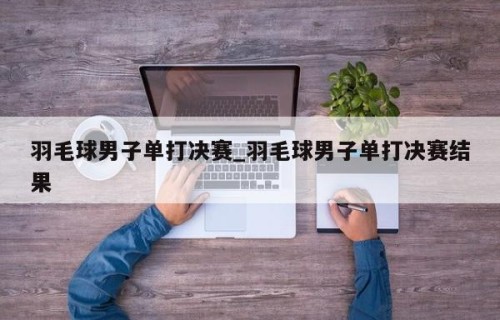 羽毛球男子单打决赛_羽毛球男子单打决赛结果