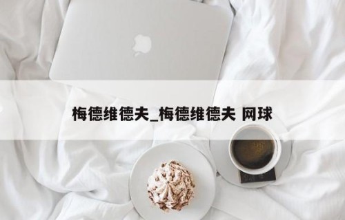 梅德维德夫_梅德维德夫 网球