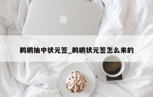 鹈鹕抽中状元签_鹈鹕状元签怎么来的