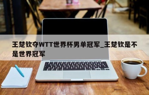 王楚钦夺WTT世界杯男单冠军_王楚钦是不是世界冠军