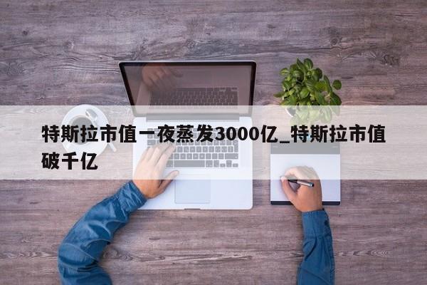 特斯拉市值一夜蒸发3000亿_特斯拉市值破千亿