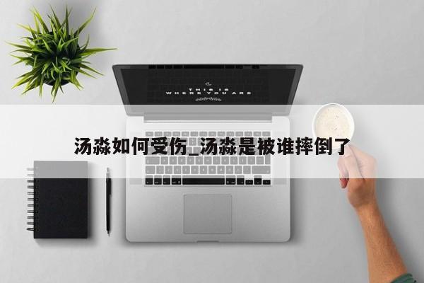 汤淼如何受伤_汤淼是被谁摔倒了