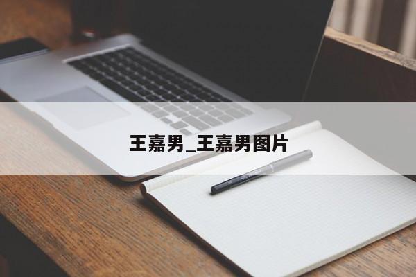 王嘉男_王嘉男图片