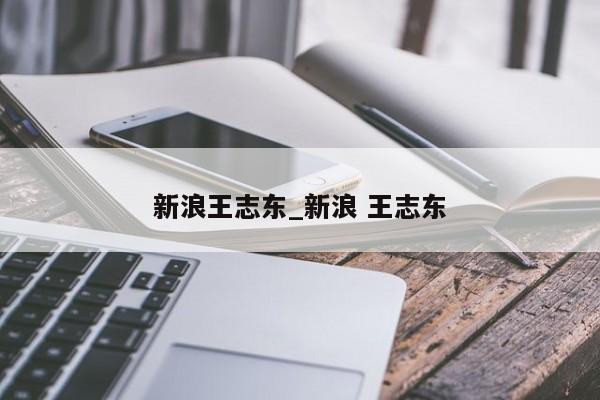 新浪王志东_新浪 王志东